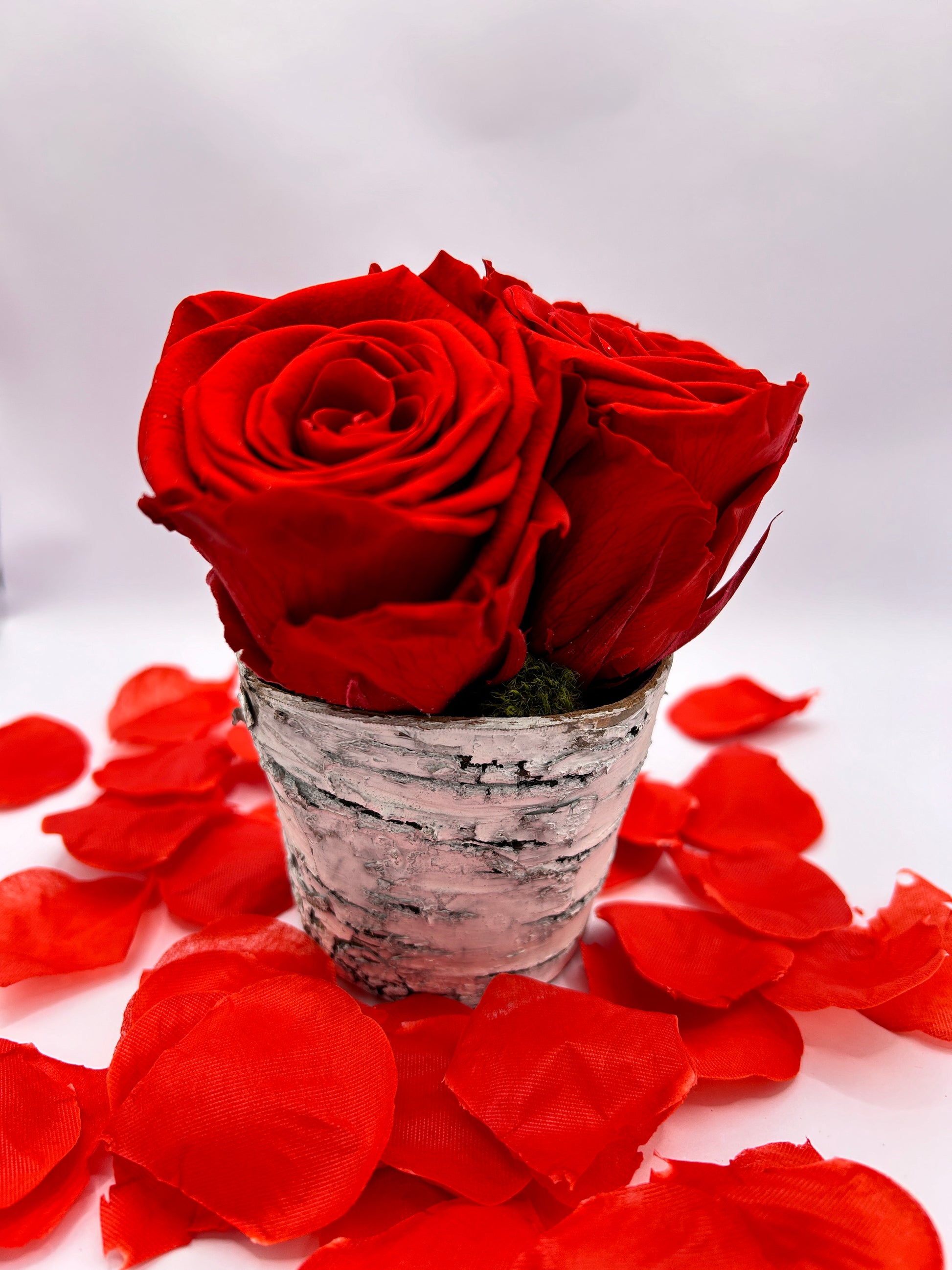 3 Preserved Roses and 1 Free Dark Humor Greeting Card - DarkHumorCards.com