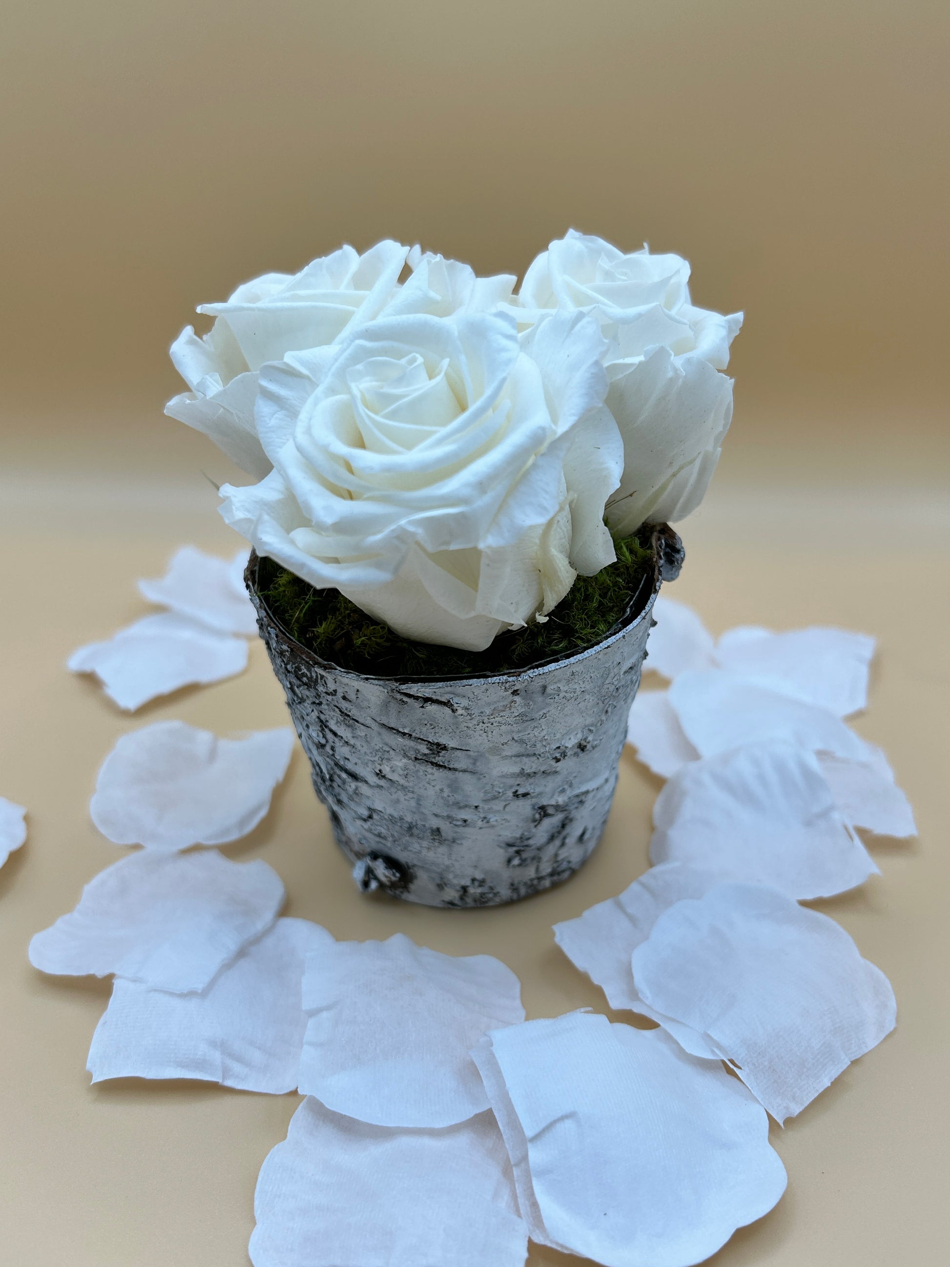 3 Preserved Roses and 1 Free Dark Humor Greeting Card - DarkHumorCards.com