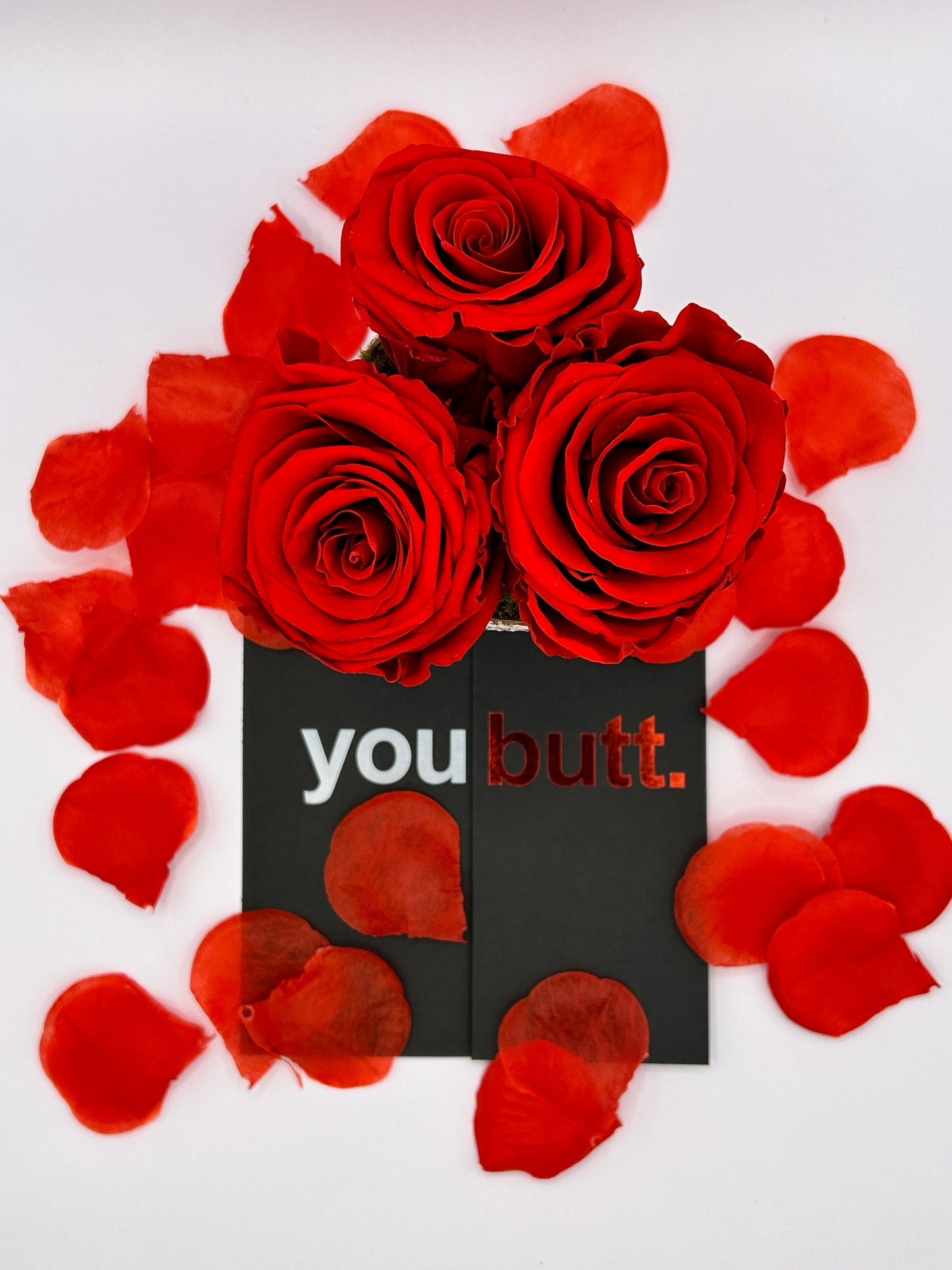 3 Preserved Roses and 1 Free Dark Humor Greeting Card