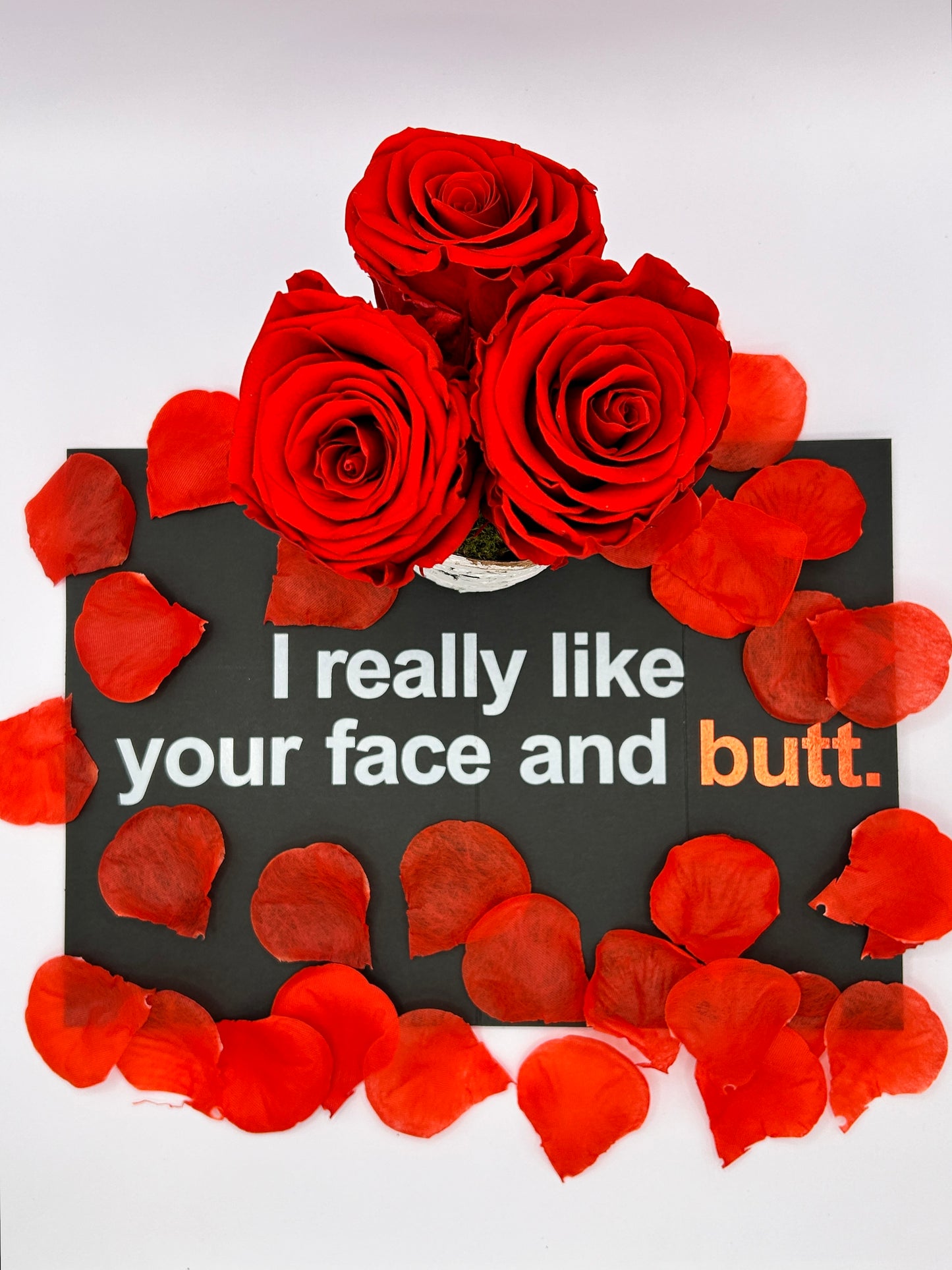 3 Preserved Roses and 1 Free Dark Humor Greeting Card