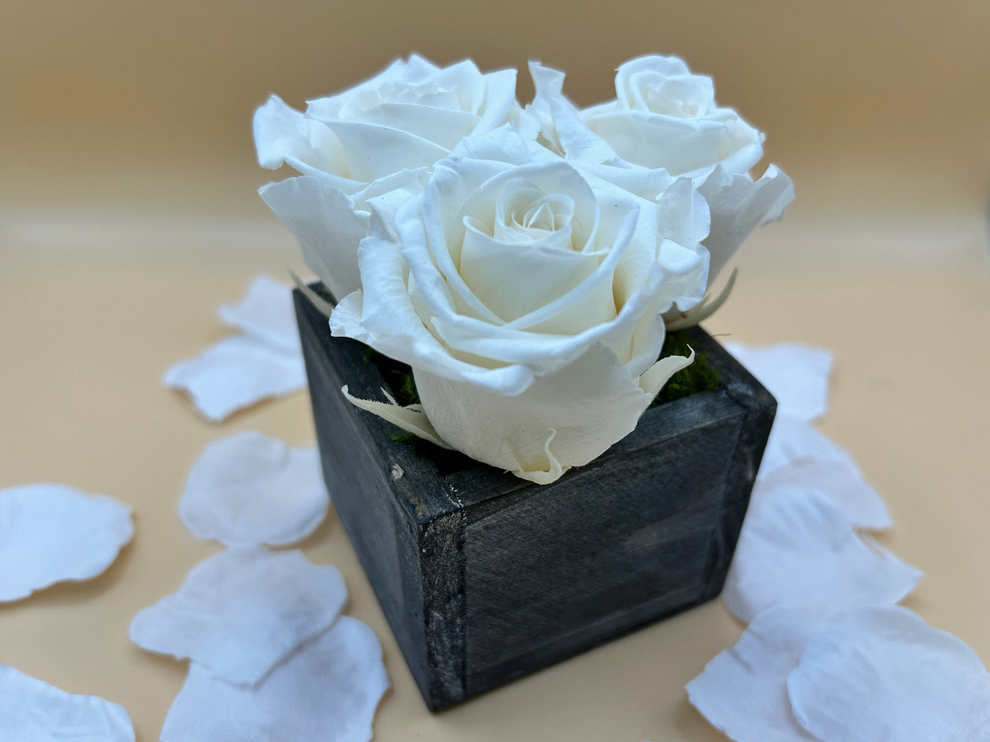 Preserved Roses in Wooden Box